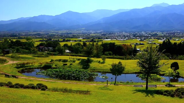 ハスの池と北アルプス