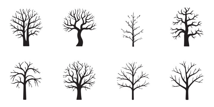 Bare winter tree silhouettes set with leafless branches and trunks isolated on white background for seasonal design.