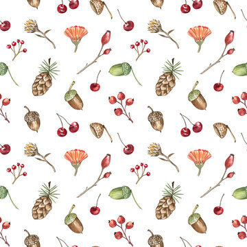 Watercolor autumn botanical pattern with acorns, pine cones, berries, rosehips, and calendula flowers on transparent background. Colorful, simple, cute rustic design for home textile and paper