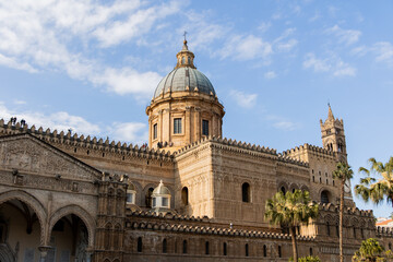 Obraz premium Palermo Cathedral dome framed by a palm tree