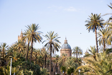 Fototapeta premium Palm trees in a garden with the Palermo Cathedral dome behind