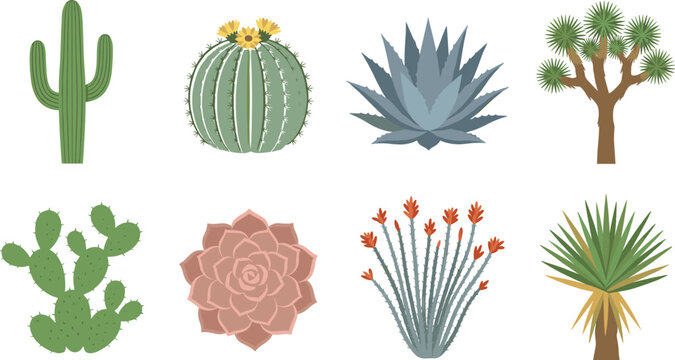 Colorful Vector Set of Tropical Fruit Trees and Plants for Botanical and Educational Design
