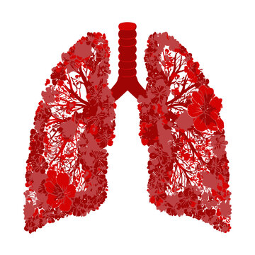 Human lungs with floral pattern vector illustration