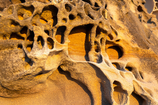 Close up of weathered sandstone cliff wall with natural honeycomb erosion patterns illuminated by warm sunrise light along the Sydney coastline, Australia.
