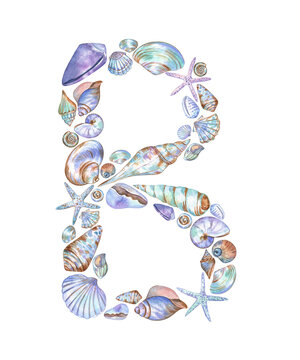Letter B made of hand-drawn watercolor seashells and starfish isolated on transparent background. Cute and colorful element of alphabet. For pre-school project, cards, stickers, customization