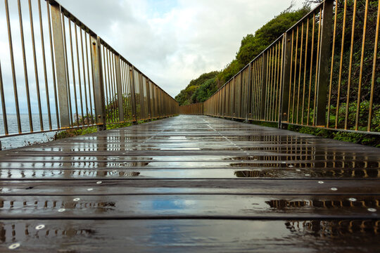 Wet wooden boardwalk along the Bondi to Coogee Coastal Walk after morning rain, with reflective decking, coastal vegetation and ocean views, Sydney, Australia.