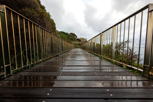 Wet wooden boardwalk along the Bondi to Coogee Coastal Walk after morning rain, with reflective decking, coastal vegetation and ocean views, Sydney, Australia.