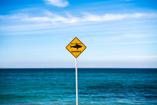 Shark warning and beach closure signs on Bronte Beach following a shark incident, with calm ocean and blue sky, Sydney, Australia.