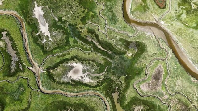 Breathtaking aerial footage capturing the intricate patterns of a meandering river and tidal creeks flowing through a vibrant green salt marsh, showcasing a complex and beautiful natural ecosystem
