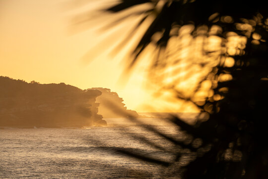 Golden sunrise over Bronte Beach with Ben Buckler headland framed by coastal vegetation and breaking waves, Sydney, New South Wales, Australia.