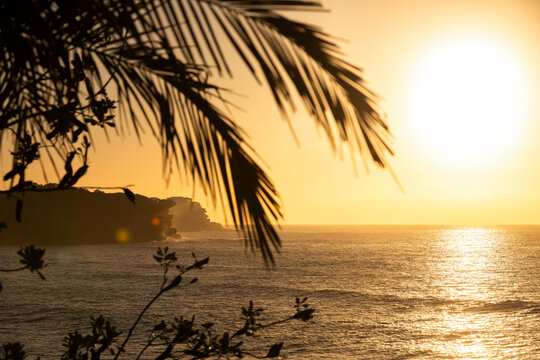 Golden sunrise over Bronte Beach with Ben Buckler headland framed by coastal vegetation and breaking waves, Sydney, New South Wales, Australia.