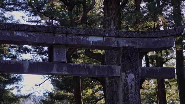 Footage featuring an ancient stone torii gate surrounded by towering cedar trees at a historic shrine complex in Nikko, Japan.