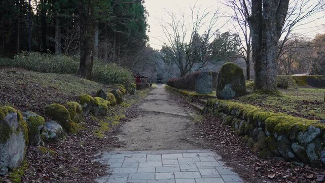 Scenic forest path in rural Japan showcasing natural textures, mossy stone walls and tranquil surroundings.