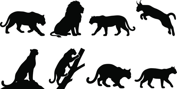 Big Cat Wildlife Silhouette Collection Featuring Lion Panther Cougar and Wild Feline Poses