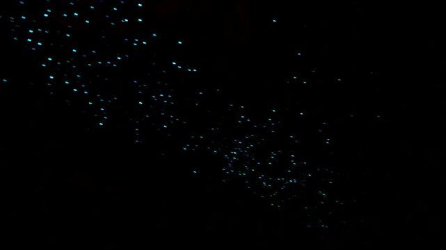 Underground cave ceiling covered with bioluminescent glowworms