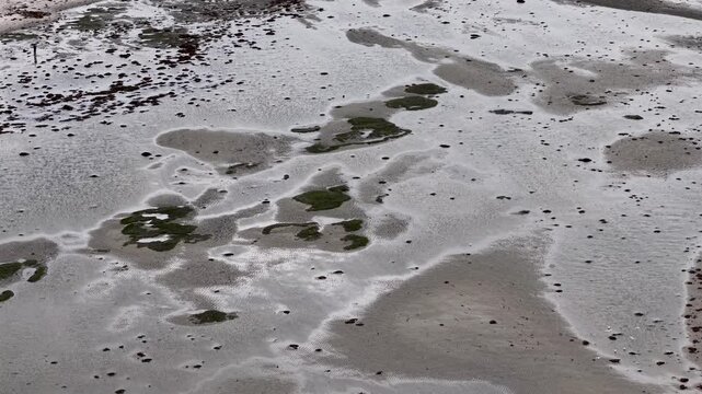 Aerial drone view of exposed tidal flats and coastal wetlands along the Eg&aring; shoreline during low tide in Denmark.