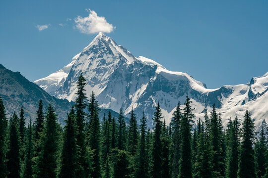 Alpine landscape of Xiata Ancient Trail National Forest Park, Ili Xinjiang China, snow peaks, spruce forest and green meadow