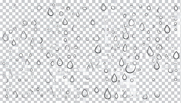 Water Droplets on Transparent Surface.