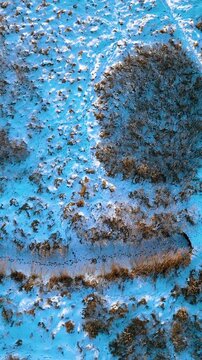 A cinematic vertical topdown shot of a snowy winter landscape featuring dry bushes and paths, perfect for nature and seasonal content.