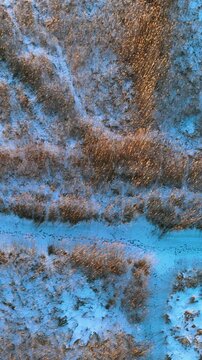 Cinematic topdown vertical shot of a snowy field during golden hour. Animal or human tracks cross a clear path through frosted tall grass and icy terrain.