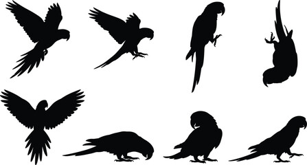 Parrot silhouette collection featuring tropical macaw birds in flying standing and perched poses isolated on white background © MdHasmot