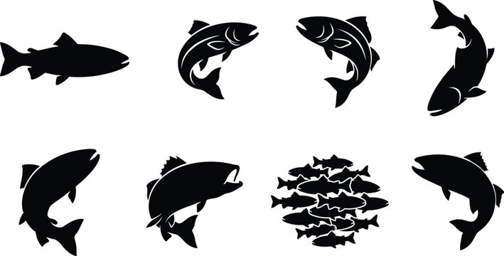 Salmon and trout fish silhouette collection featuring jumping sport fish and a school of fish on white background