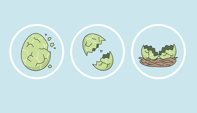 Sequential stages showing a green egg cracking and eventually hatching in a small bird nest against a light blue background.