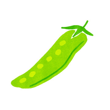 スタンプ風さやえんどうのイラスト
