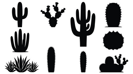 Black cactus silhouettes on white background © SanjidaSultana