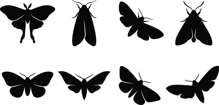 Detailed Moth Silhouette Vector Collection with Diverse Wing Shapes for Artistic and Scientific Design Use