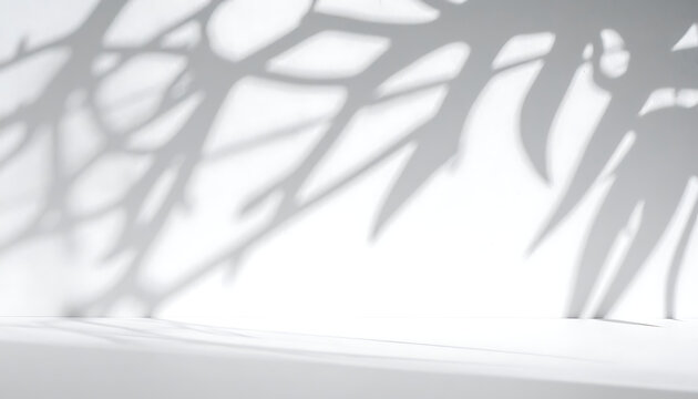 Shadows of leaves cast on a clean white wall and floor, abstract natural light and shadow play, minimalist backdrop