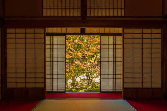 日本の風景・秋　京都　紅葉の雲龍院　悟りの間