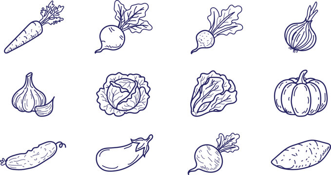 Vegetable collection hand-drawn line art sketches of healthy organic garden produce including carrot beet onion garlic cabbage pumpkin cucumber eggplant and potato for farm to table designs.