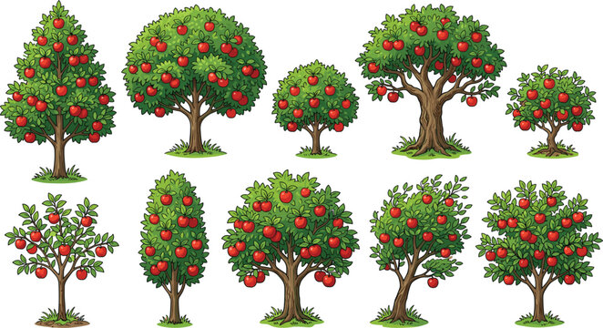 Apple tree collection illustration featuring different orchard tree shapes with ripe red apples isolated on white background