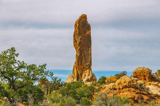 The Tower of Babel, a tall freestanding sandstone pillar, rises above green junipers against a soft cloudy sky, Arches National Park, Utah.