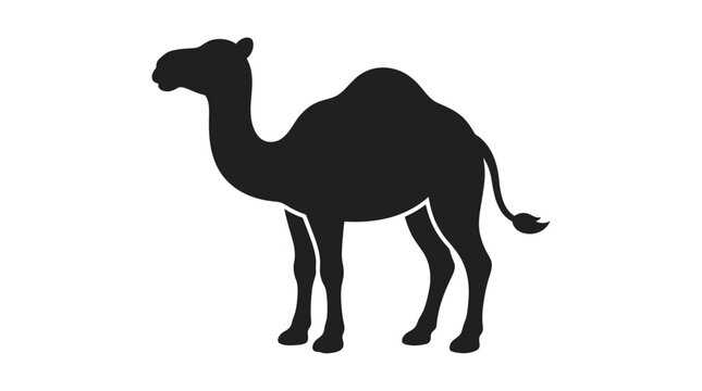 camel silhouette on white background animal wildlife desert hump vertebrate mammal sahara