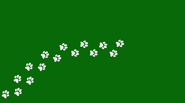 Animated Canine Paw Print Path. Dog Paw Print Trail Animation on Green Screen, Black Canine Footprints.