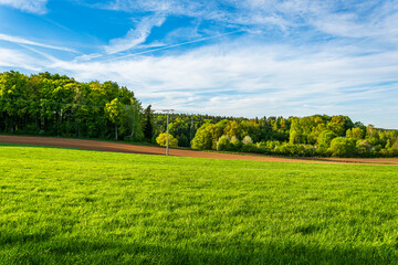 Green meadow and farmland with forest under blue sky © Lumen&Lines