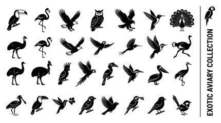 Obraz premium Diverse Exotic Bird Silhouette Collection Featuring Various Avian Species and Flying Animals in Minimalist Black Graphic Style
