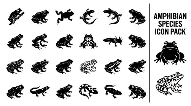Vector silhouette set of various amphibian species including frogs, toads, salamanders, and newts, isolated on a white background