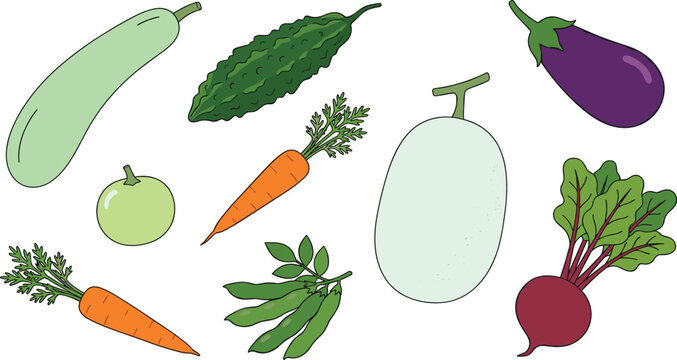 Fresh Vector Vegetable Set Featuring Carrot, Eggplant, Bitter Gourd, Beetroot, and Winter Melon Elements for Healthy Food and Culinary Graphic Designs