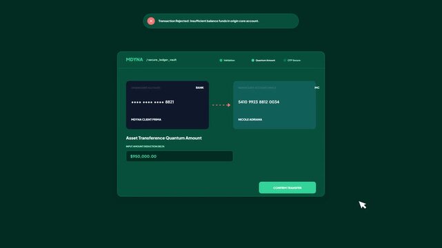 Online Money Transference Transaction Rejected Insufficient Balance Error Screen Animation