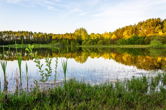 Haidweiher forest lake near Amberg in Bavaria Germany