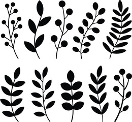Black leaf and berry branch silhouettes isolated on transparent grid background. © Mst Insanara Begum