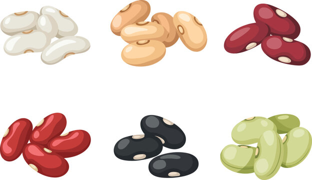Assorted raw kidney beans and pulses collection for healthy food diet.