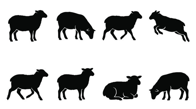 Sheep silhouette vector set, 8 black farm animal icons, grazing and jumping livestock silhouettes, woolly ewe and lamb shapes for agriculture branding