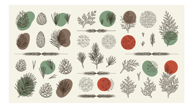 Vintage botanical vector set, hand-drawn pine cones and evergreen branches, rustic forest elements for nature-inspired designs, 40 isolated graphic resources for winter and holiday projects