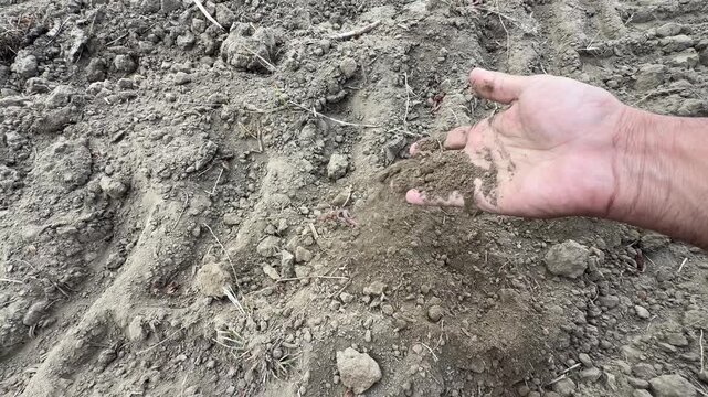A hand lifts dry, crumbly soil in an open field to check texture and moisture quality for agriculture.