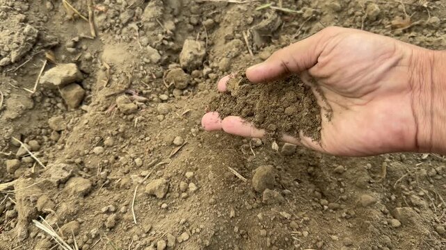 A hand lifts dry, crumbly soil in an open field to check texture and moisture quality for agriculture.