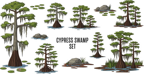 A collection of isolated cartoonstyle cypress trees swamp water lily pads and rocks on a white background © Faisal